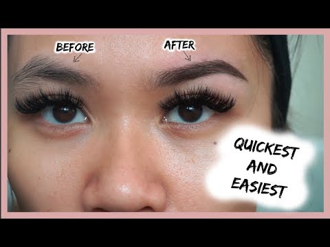 HOW TO GROOM + SHAPE EYEBROWS AT HOME (EASIEST BEGINNER TUTORIAL)