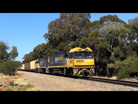 1MP5 with NR12 NR21 at Salisbury North. 25-3-2024.