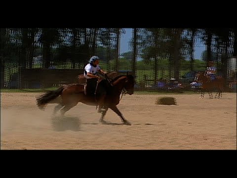 7º Lugar Redomão na Lagoa 2016 - Afonso Patron Araújo e Piraí 2030