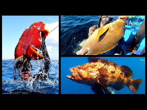 INDO TALES - EPISODE 9 Nice day of spearfishing and dinning at the old fisherman's house