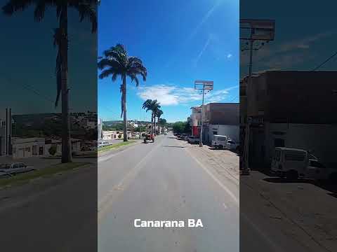 CANARANA - BA 🇧🇷