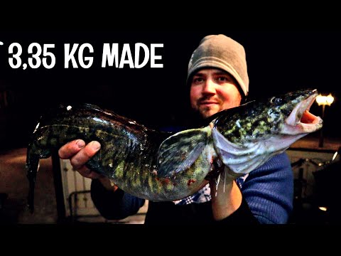 SAIN ENNÄTYS MATEEN KATISKALLA - MATEEN NYLKEMINEN PALJAIN KÄSIN - KEITETÄÄN KALALIEMI JA MADEKEITTO