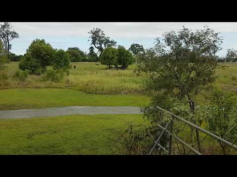 Earthlove Global Services