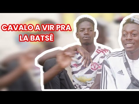 ENTREVISTA COM A TROPA BURRA -  CAVALO A VIR PRA LA BATER