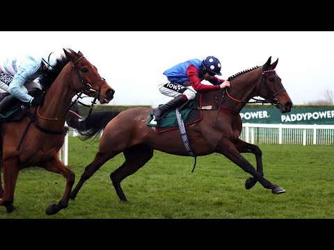 ZOOM ROOM | Cheltenham Trials Day Preview