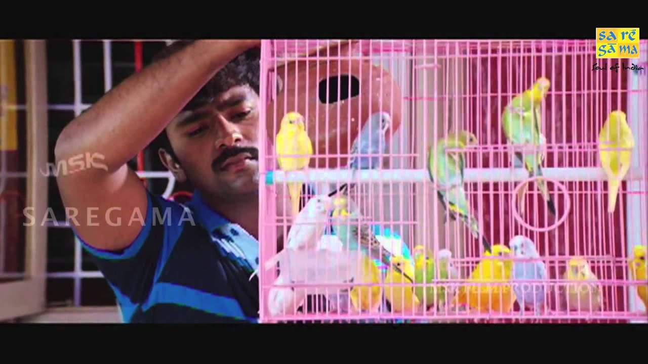 Amma Thaane Lyrics | Ammavin Kaipesi | Iniya, Shanthnoo Bhagyaraj | Haricharan | Rohit Kulkarni