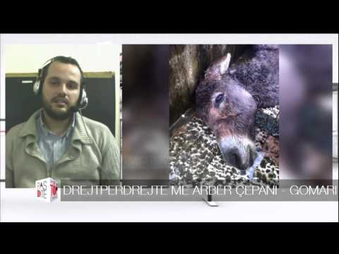 Pasdite ne TCH, 8 Janar 2016, Pjesa 4 - Top Channel Albania - Entertainment Show