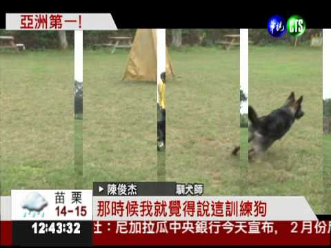 亞洲第一馴犬師 台灣人的驕傲!