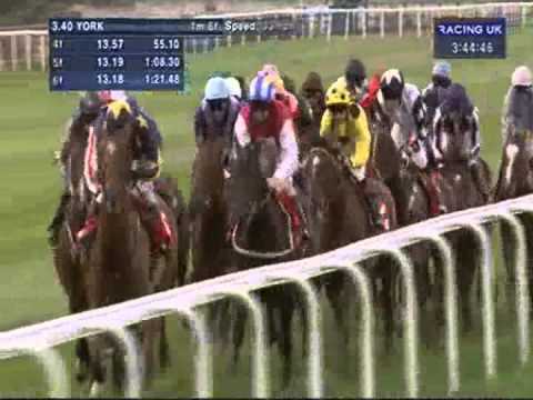2012 Betfred Ebor - Willing Foe