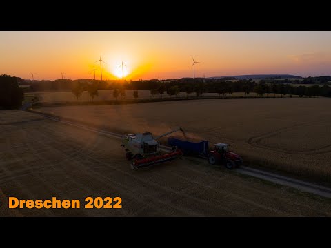 Dreschen 2022 | Claas Lexion | Landwirtschaft in Höxter