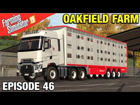BUYING SOME BULLS Farming Simulator 19 Timelapse - Oakfield Farm Seasons FS19 Episode 46