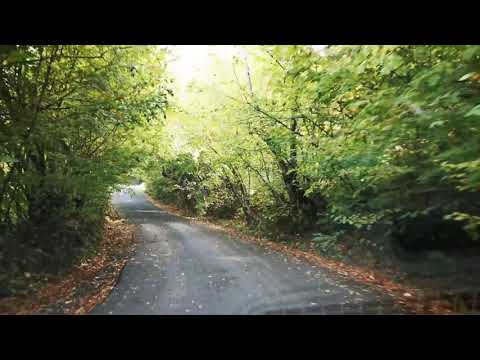 DJ 666, „centura momârlanilor”. Scurtătura prin munți spre Valea Jiului