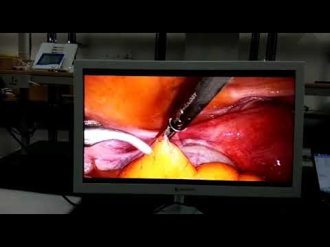 Medical grade LED Monitor Full HD