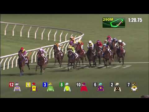 26/5/2021 (707) Tsar - Matthew Chadwick