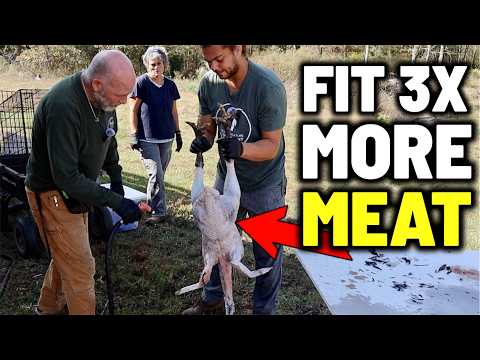 How to Process a Turkey Step by Step Homestead Guide