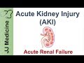 Acute Kidney Injury AKI Acute Renal Failure Diagnosis Causes And Treatment