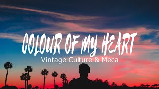 Vintage Culture &amp; Meca - Colour of My Heart (Tradução)