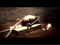 Mouse Trap Workout Like Rocky Balboa (Complete Clip)