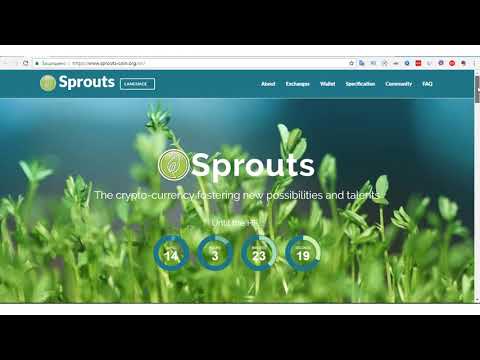 Новости Sprouts.  Pos Mayning.  Выпуск 3