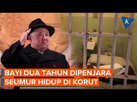 Bayi 2 Tahun di Korea Utara Dipenjara Seumur Hidup karena Orang Tuanya Punya Kitab Suci