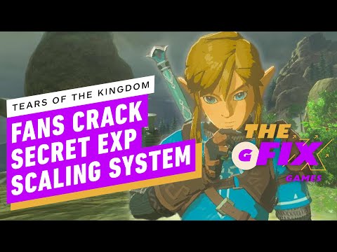 Fans Crack Tears of the Kingdom's Secret Experience Scaling System - IGN Daily Fix