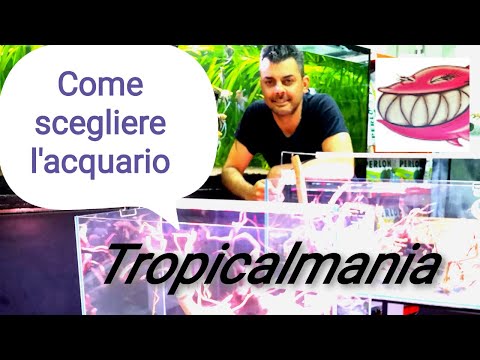 La scelta degli acquari . by Tropicalmania