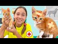 Sofia Saves Kitten And Goes To The Vet