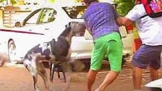 Children's Day Prank Gone Wrong | The Short Cuts