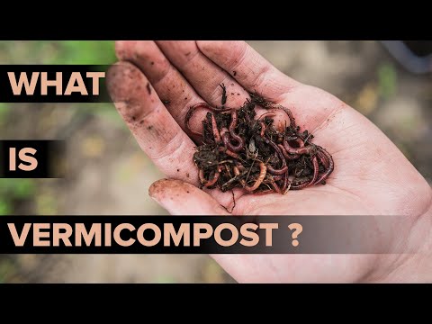 What is Vermicomposting? | Methods of Vermicomposting | Environmental Science