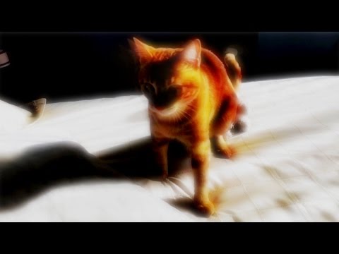 NANE feat. Salitre - Perfect (lyric video)