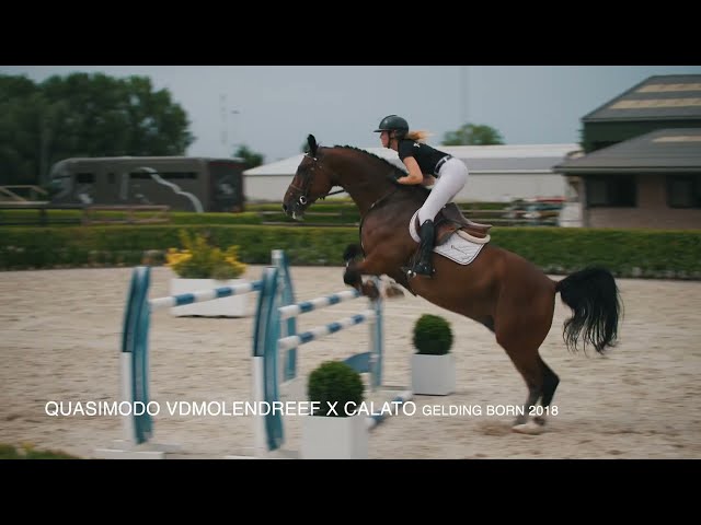 Lonkens Qastello