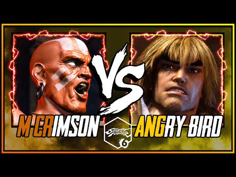 SF6 ➣ MISTER CRIMSON ( DHALSIM ) VS ANGRY BIRD ( KEN ) 4K ACTION