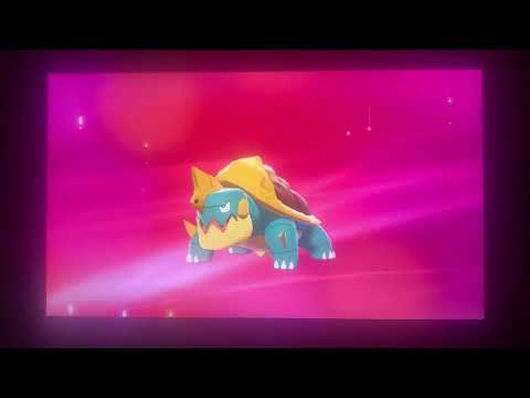 Look! My Chewtle is evolving into Drednaw!