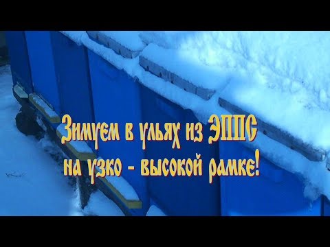 Первая зимовка на узко - высокой рамке в ульях из ППС!