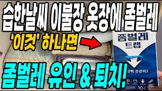 습한날씨 옷장 이불장에 이것 하나면 좀벌레유인 & 좀벌레 퇴치 한방에 해결!