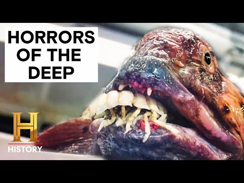 The Proof Is Out There: Top 7 TERRIFYING Deep Sea Horrors | History