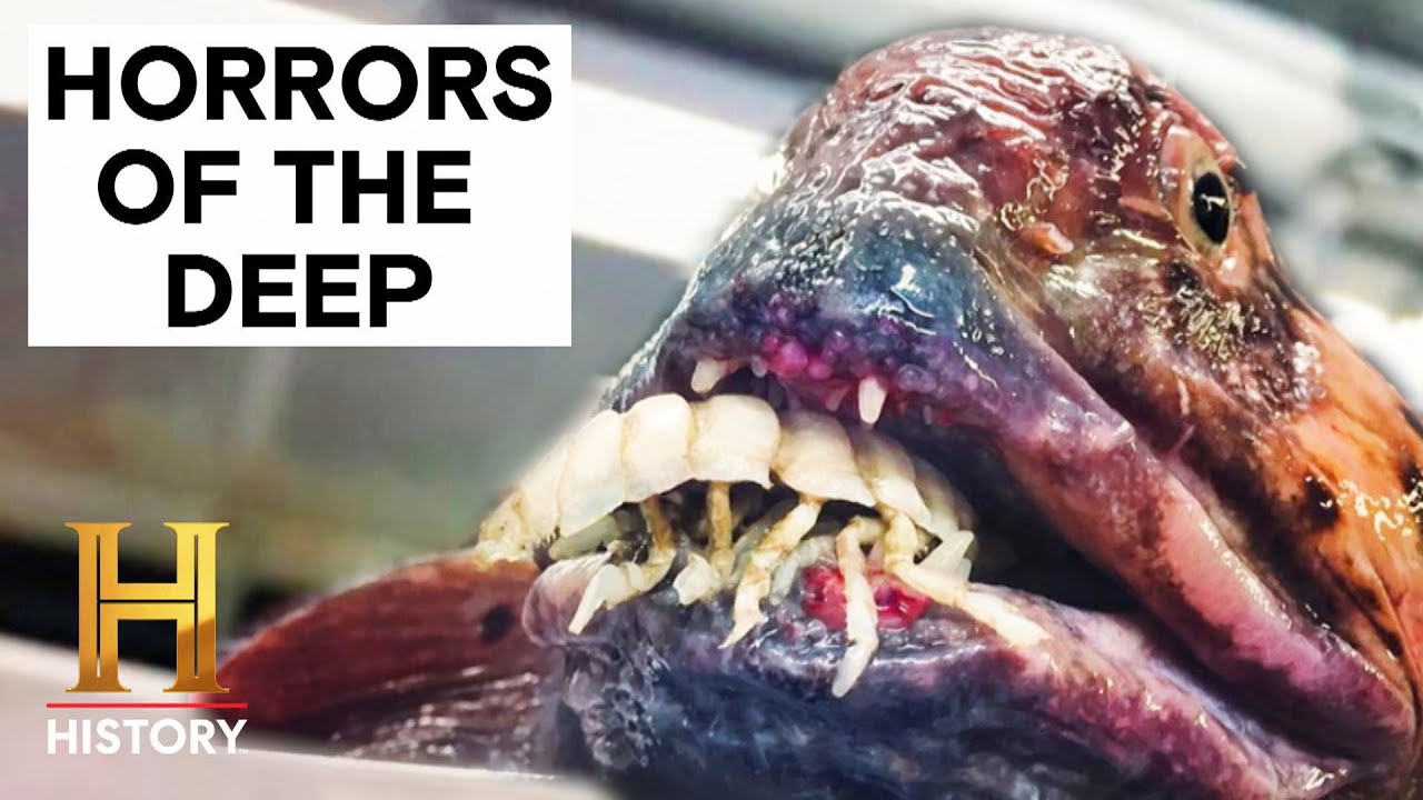 The Proof Is Out There: Top 7 TERRIFYING Deep Sea Horrors
