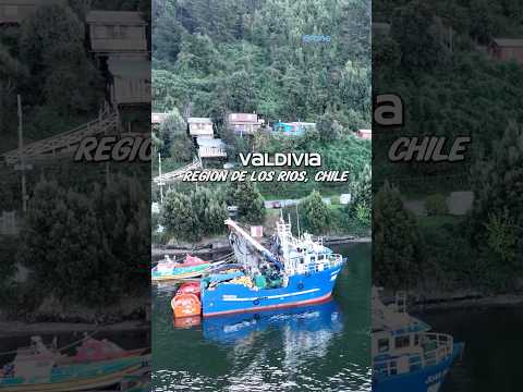 Valdivia, Región de los Ríos | Chile 🇨🇱