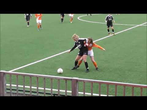 Orion VR3 - SCE VR1 (1-4-2018)