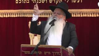 כי האדם עץ השדה | טו בשבט | הרב דניאל זר