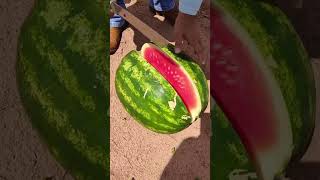 14 de dezembro de 2024