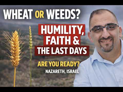 Wheat and Weeds: <br>A Call to Humility, Mercy, and True Faith