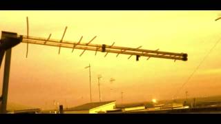 Tedua - Pegaso (Tribute Video)