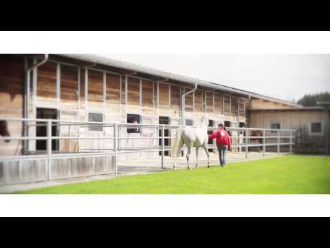 Tierklinik Schabelhof | Bad Dürrheim