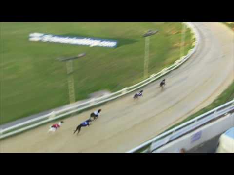 2017 WILLIAM HILL GRAND PRIX - 3RD SEMI - T4 GLAMOROUS SHARIF