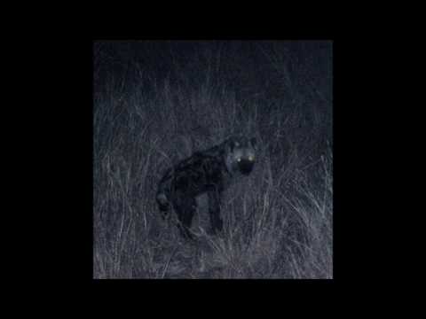 01. HNRK - Zwielicht [twilight]