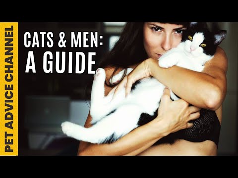 Cats prefer women than men - 5 reasons why