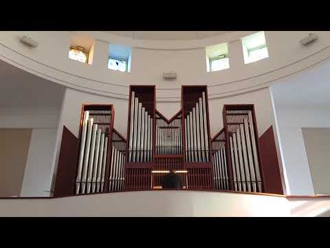 Organowy Kwadrans odc. 75 - Prezentacja organów kościoła św. Karola Boromeusza w Poznaniu