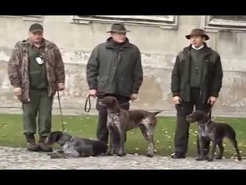 I Miedzynarodowy Konkurs pracy wyzlow 2006r.