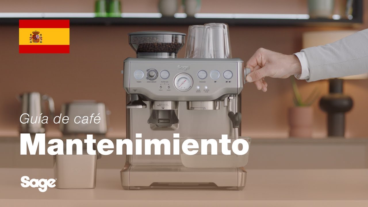 Cómo realizar una descalcificación